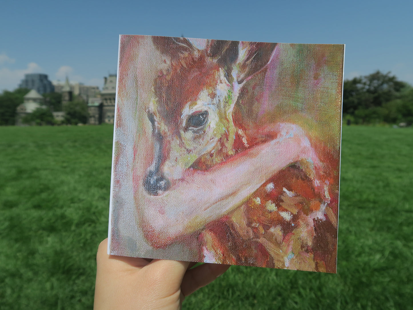 Fawn - All Occasion Greeting Card (Blank inside)