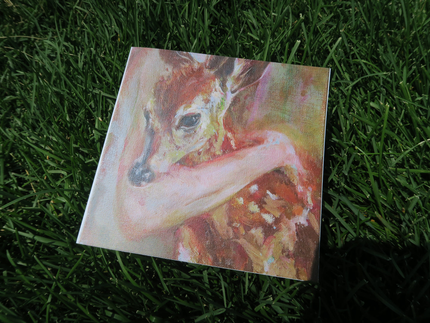 Fawn - All Occasion Greeting Card (Blank inside)